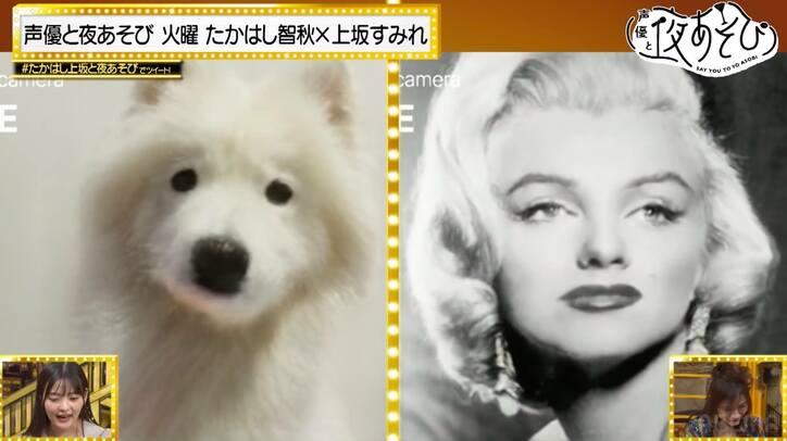 上坂すみれが関智一のモノマネ披露に、たかはし智秋の妄想爆発「関さんになりきるのは人類には早い」【声優と夜あそび】