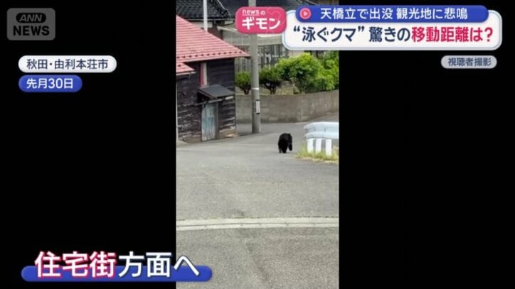 クマは住宅街の方向へ