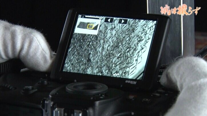 「現実を表に出さないといけない」全国の病院をめぐり、精神疾患の入院者を撮り続ける写真家