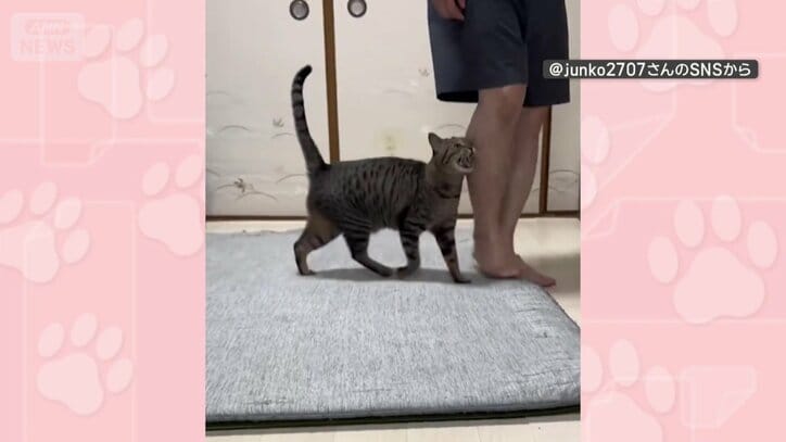 追いかけて遊ぶ