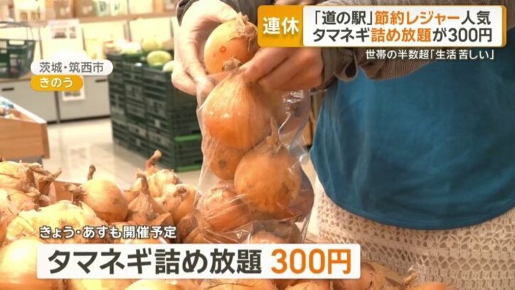 タマネギ詰め放題