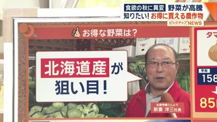 北海道産が狙い目