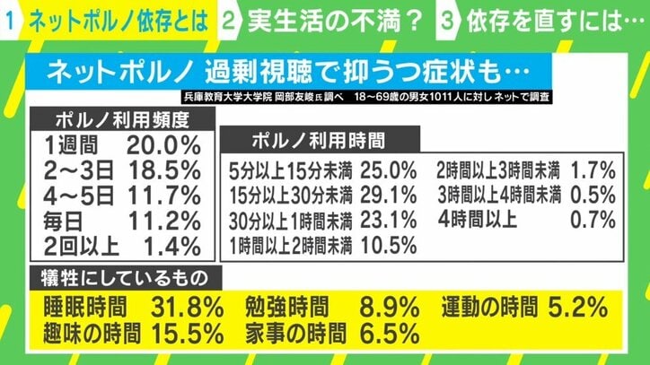 【写真・画像】「ネットポルノ依存」の実態 自分でコントロールできない状態も… 生活上の生きづらさやストレスを抱えている可能性　2枚目