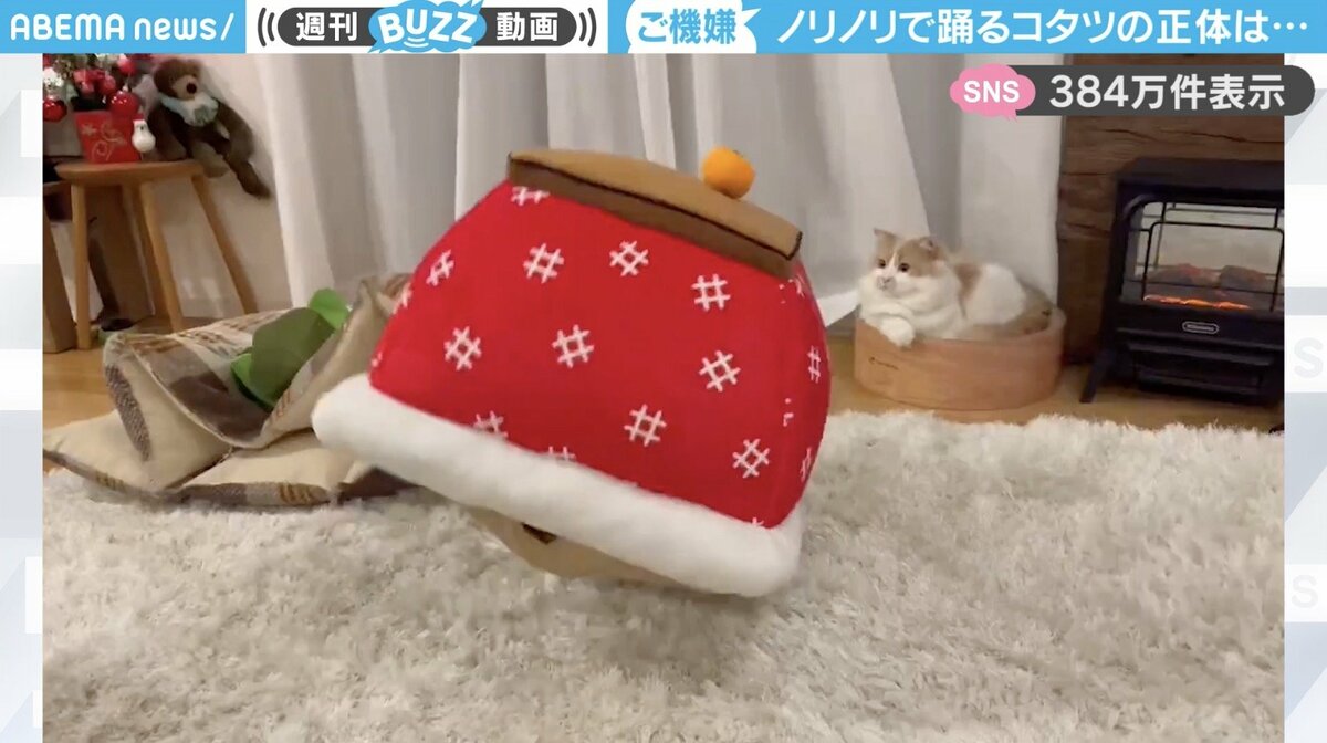 ゆめみこママ様リクエスト2作品 猫とトイプードル【こたつ】【お月見