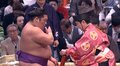 尊富士の目が大変なことに…「色変わってる」「左目どうした?」心配の声相次ぐ