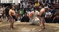 「めっちゃ良い席」大相撲、行司の背後に芸能界引退で“大成功”の元タレントの姿「うらやましい」 