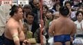 若隆景が「うますぎる」「最高のおっつけ」 藤ノ川との“技巧派対決”に称賛やまず 「前まわしも離さない」荒磯親方も絶賛