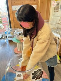 桜井奈々『偏食の娘が気に入った和菓子』