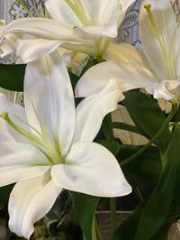 キャシー中島『悲しくて』