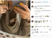 後藤真希が披露した“新しい家族”に「甘えん坊そう」「めっちゃ癒やされる」の声