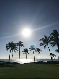 小林麻耶『午後のつぶやき』