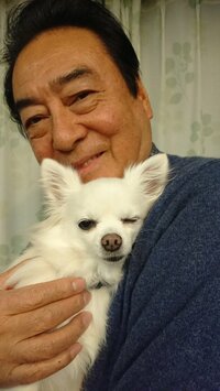 高橋英樹『お早うチロコや⁉️』