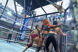 「WWEは体験型アトラクション」5万2590人のファンを熱狂させたPLE（プレミアムライブイベント）にあっぱれ【塩野潤二アナ連載＃3】