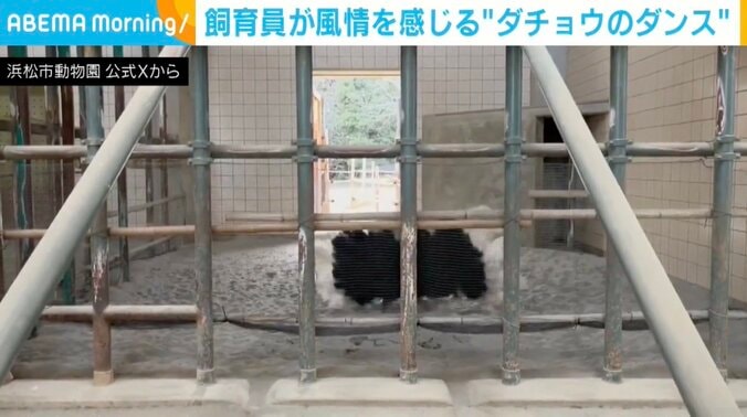 ブラッキーくん