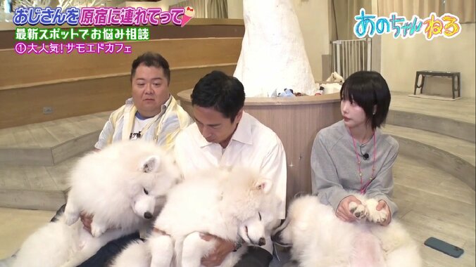 あのちゃん、20代女子と話すときのおすすめの話題は「最近見たアニメとか…」 3枚目