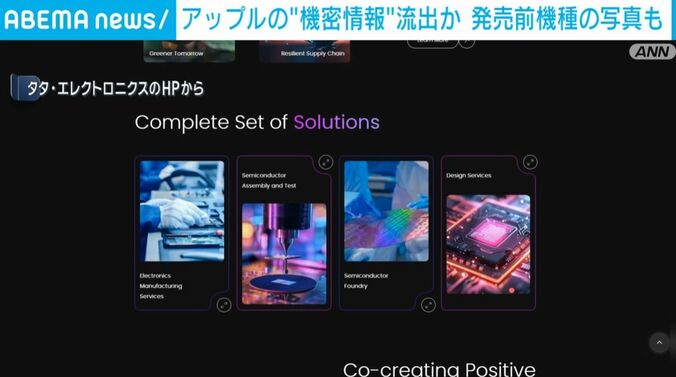 タタ・エレクトロニクスのHP
