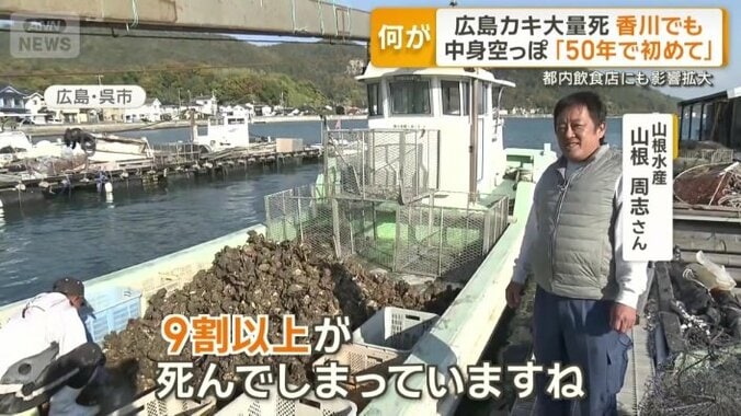 「9割以上が死んでしまっていますね」