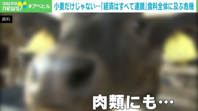 ウクライナ侵攻で「食料危機」も 専門家が日本の現状に警鐘「脆弱性が明確で見直しが必要」 3枚目