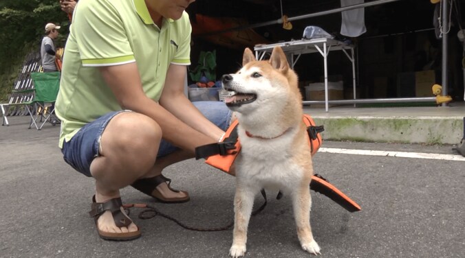「感動だワン！」柴犬かぼすちゃん、 美しすぎる大自然の中でカヌー挑戦で 13枚目