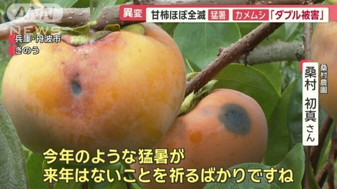 来年に向けさらなる心配も