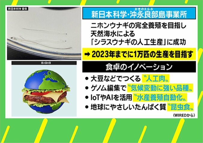進むうなぎの養殖技術 低価格化に期待も本当にもっと必要か 考えるべき「大量消費・大量廃棄」の現状 2枚目