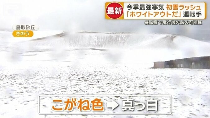 雪が積もり真っ白に塗り替えられた鳥取砂丘