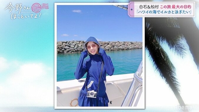 「イルカと泳ぎたい」白石麻衣＆松村沙友理、2人の夢がハワイで叶う 2枚目