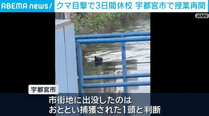 クマ