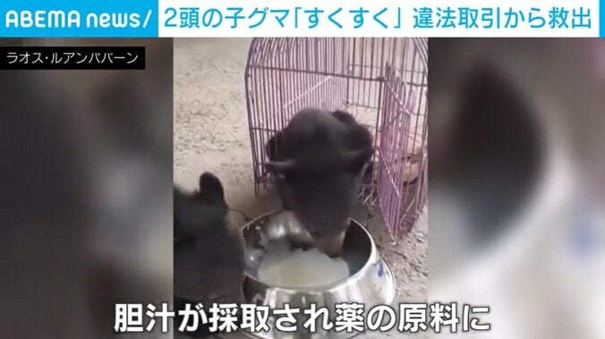 ラオス・ルアンパバーン