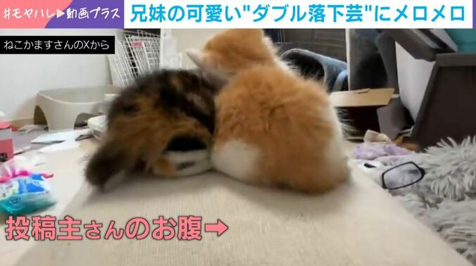 楓橙くんと胡晴ちゃん