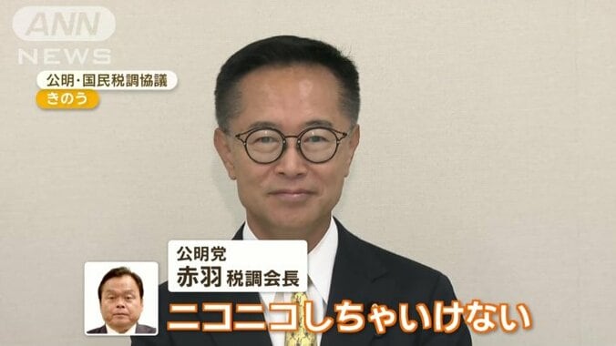 国民民主党　古川税調会長