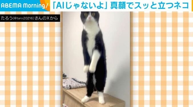 たろうくん