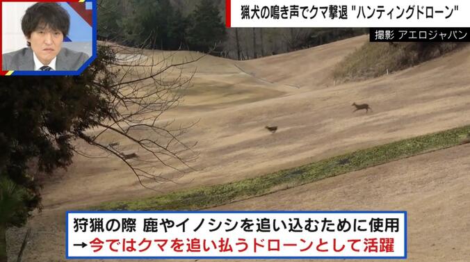 “ハンティングドローン”野生動物を追い払う様子