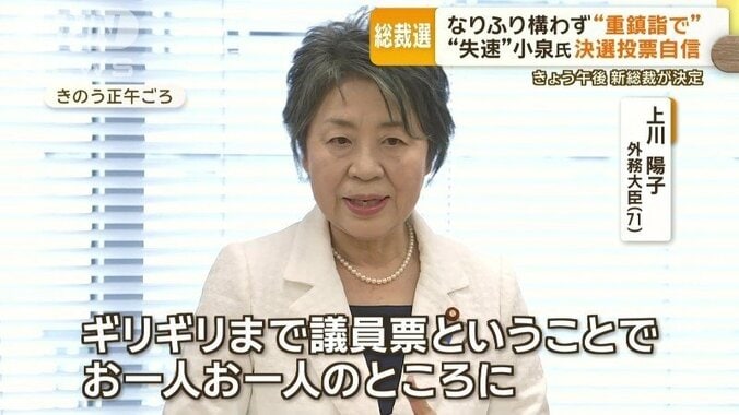 上川陽子外務大臣（71）