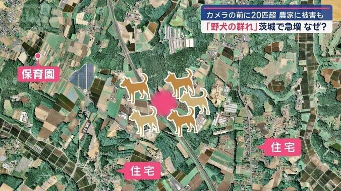 近くには住宅も