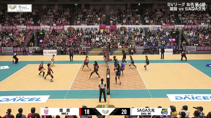 姫路・大島杏花を直撃