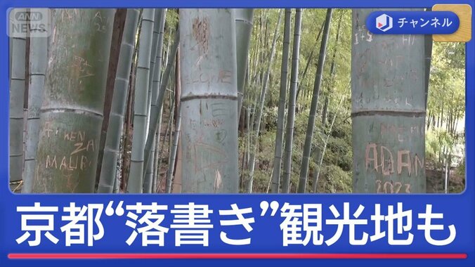 京都 竹林“落書き”人気観光地でも　嵐山“新対策”も続く被害 1枚目