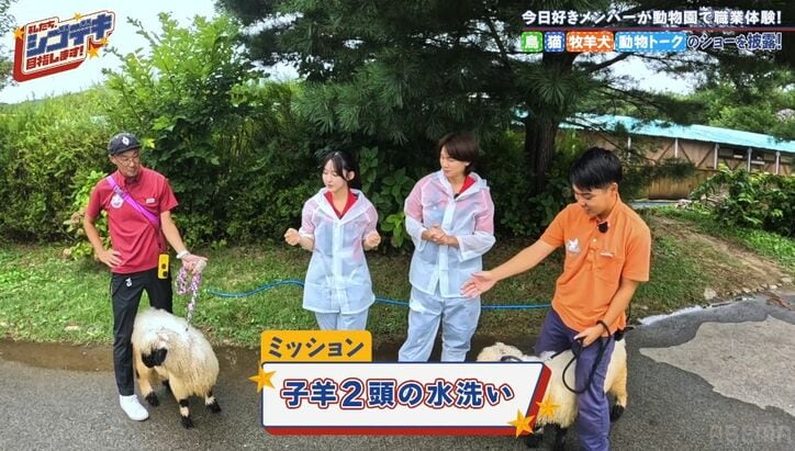 【写真・画像】SNSで大人気のカップル、『今日好き』で成立するも出会いの現場はまさかの別番組 2枚目