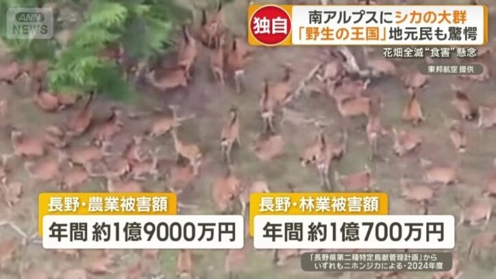 被害が深刻化