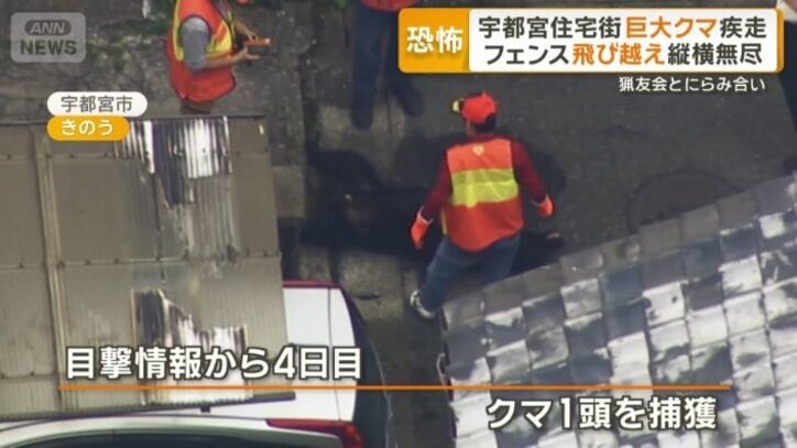 住宅街で1頭捕獲