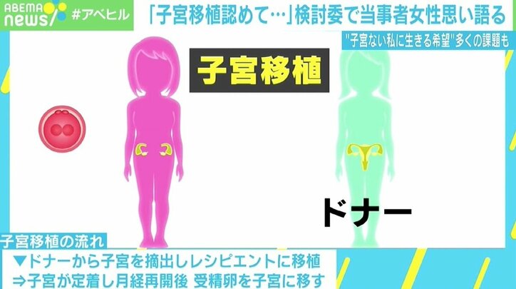 「子宮移植認めて」検討委で当事者の女性が訴え 医師「技術的には問題ない」も残る課題