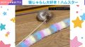 「自認が猫」ハムスターが“猫じゃらし”に全力！激しすぎる一人遊びの様子に「宙に浮いてるよう」「ものすごい速さで横に動いてて爆笑」「可愛すぎるっ」などの声
