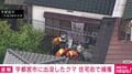 宇都宮市に出没したクマ 住宅街で捕獲