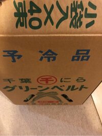 福田萌『ニラ四キロ』