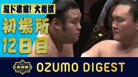 2019年 大相撲初場所 - 大相撲ダイジェスト - 超大混戦へ!全幕内一挙に振り返り! | 動画視聴は【Abemaビデオ(AbemaTV)】