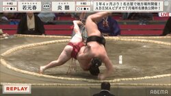 無情にも先にちょんまげが…炎鵬、捨て身の投げも惜敗 ファンは「痛そう」「肩外れそう」とヒヤヒヤ