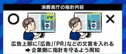 虚偽・誇大表現も横行するアフィリエイト広告…「全てのアフィリエイターがいなくなると困る」との意見も