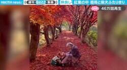 「映画のワンシーンみたい」紅葉の中で見つめ合う“祖母と柴犬” 心温まる美しい光景にネット民ほっこり
