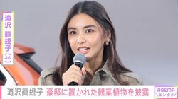 滝沢眞規子「庭が広くないので」広々とした自宅に置かれたオシャレな観葉植物を披露