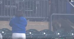 一体、何が起きた…？ ガラガラの観客席に“まさかの珍光景” 予期せぬゲストが乱入してウロウロ… 中継カメラがとらえた激レアシーン